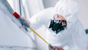 Best Emergency Pest Control  in Sa De Oro Mount Helix, CA